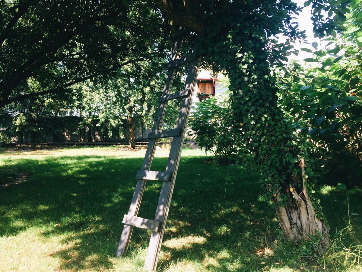 Casa Mia Xix-W Nadmorski Dom Z Ogrodem Cedry Male Bagian luar foto